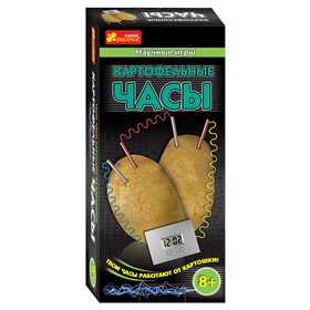 Научная игра КАРТОФЕЛЬНЫЕ ЧАСЫ