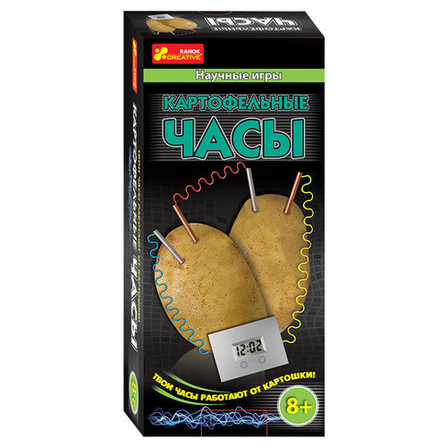 Научная игра КАРТОФЕЛЬНЫЕ ЧАСЫ